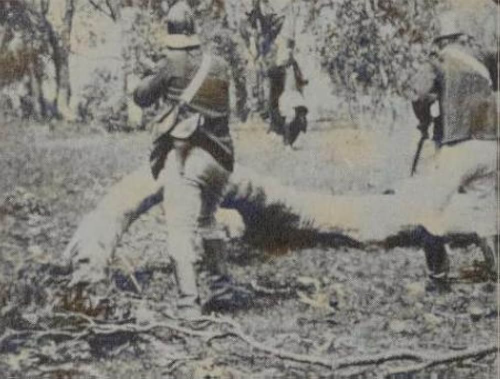 The Story of the Kelly Gang（原題）の画像