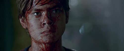 ザ・ベビーシッターの画像