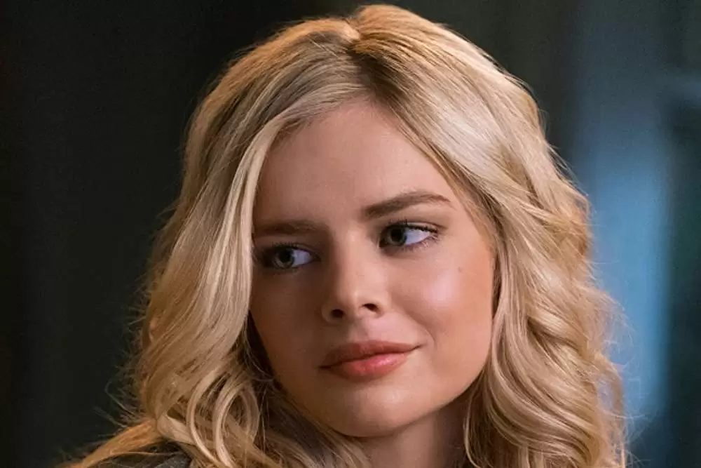 ザ・ベビーシッターの画像