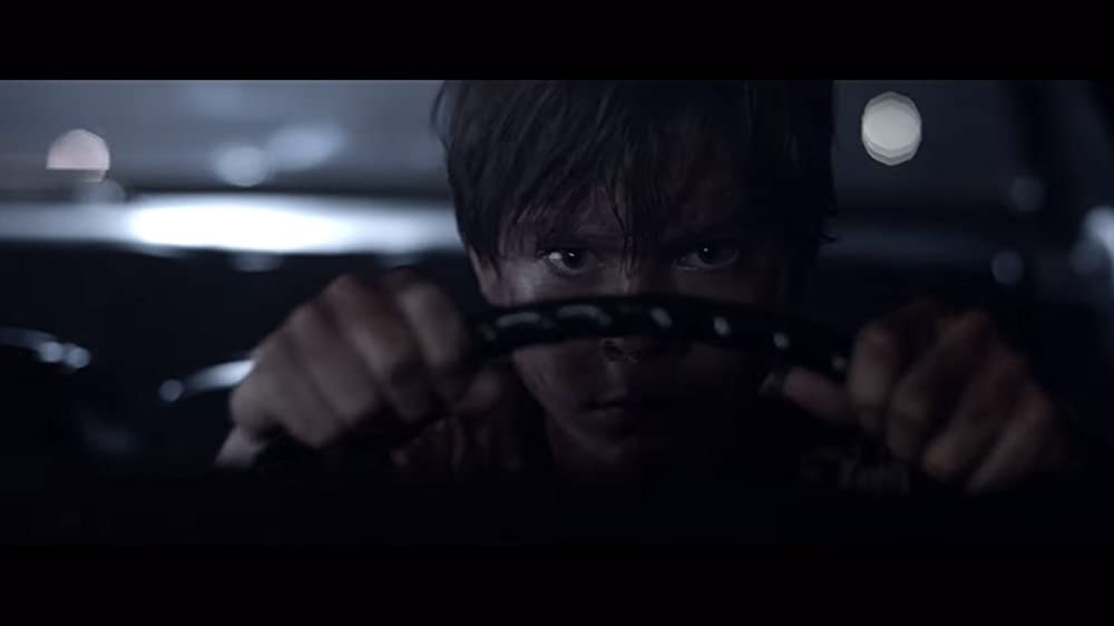 ザ・ベビーシッターの画像