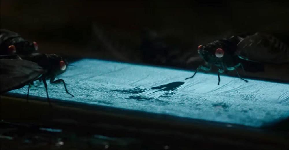 ザ・リング リバースの画像