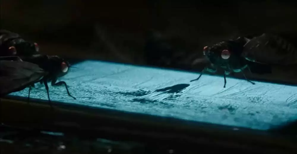 ザ・リング リバースの画像