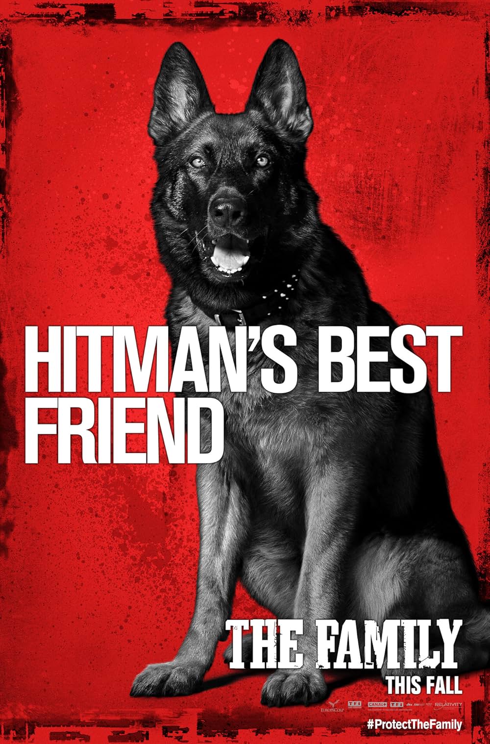 マラヴィータの画像