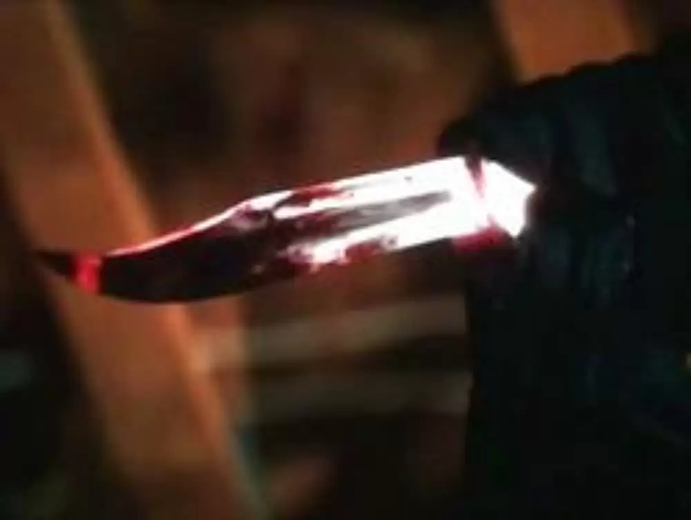 スクリーム4:ネクスト・ジェネレーションの画像