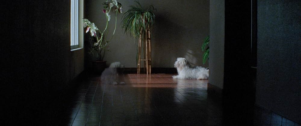 アラビアン・ナイト 第２部 孤独な人々の画像