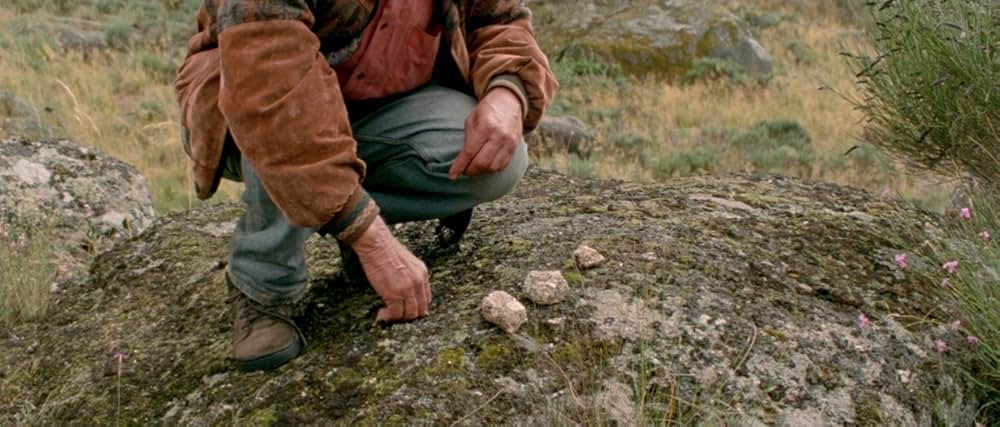 アラビアン・ナイト 第２部 孤独な人々の画像