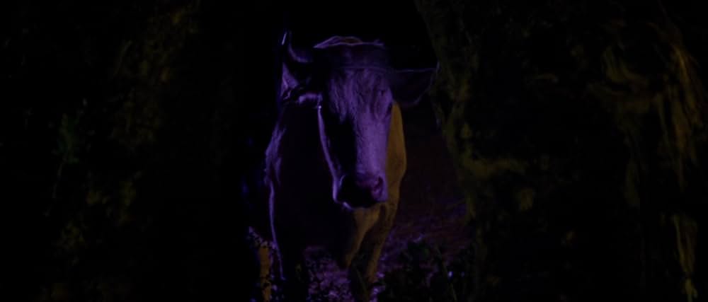 アラビアン・ナイト 第２部 孤独な人々の画像