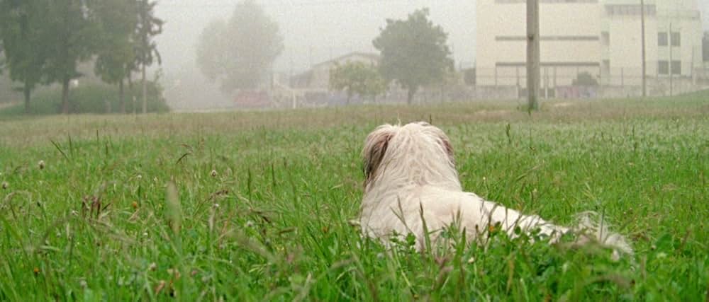 アラビアン・ナイト 第２部 孤独な人々の画像