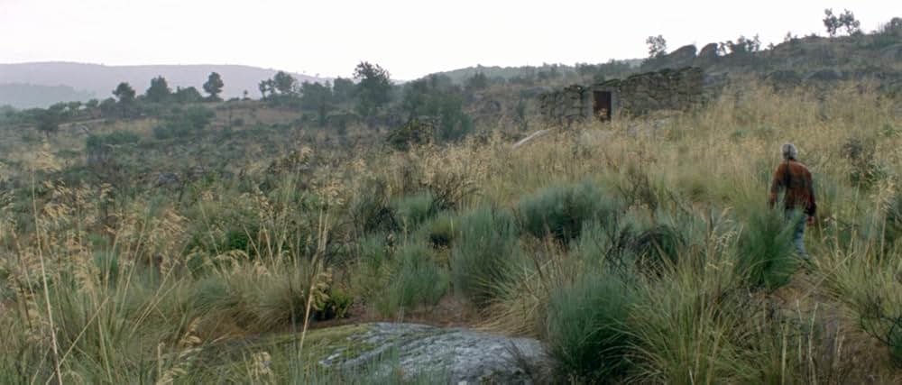 アラビアン・ナイト 第２部 孤独な人々の画像