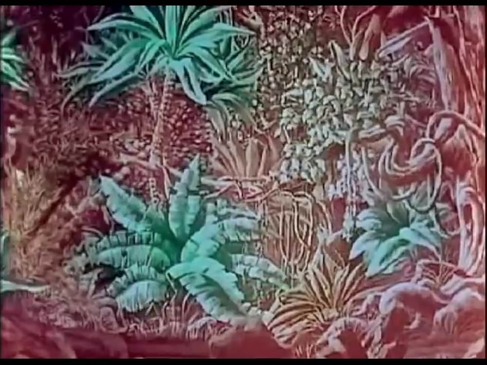 千一夜物語の画像