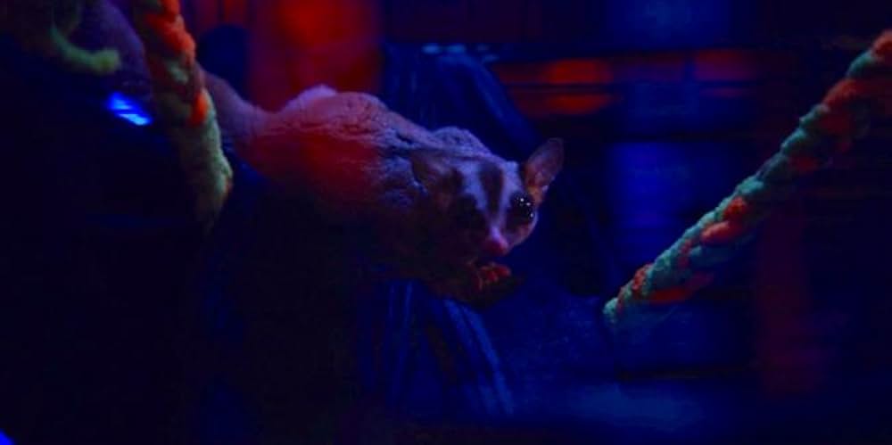 Bound（原題）の画像