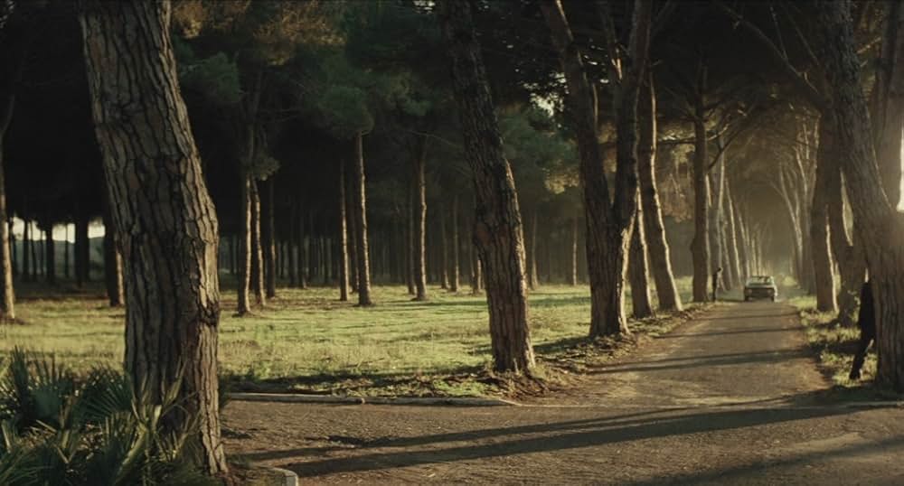 トード・モードの画像