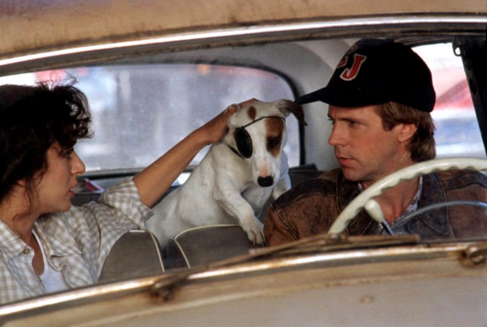 探偵ボーグ わたし、忘れてます。の画像