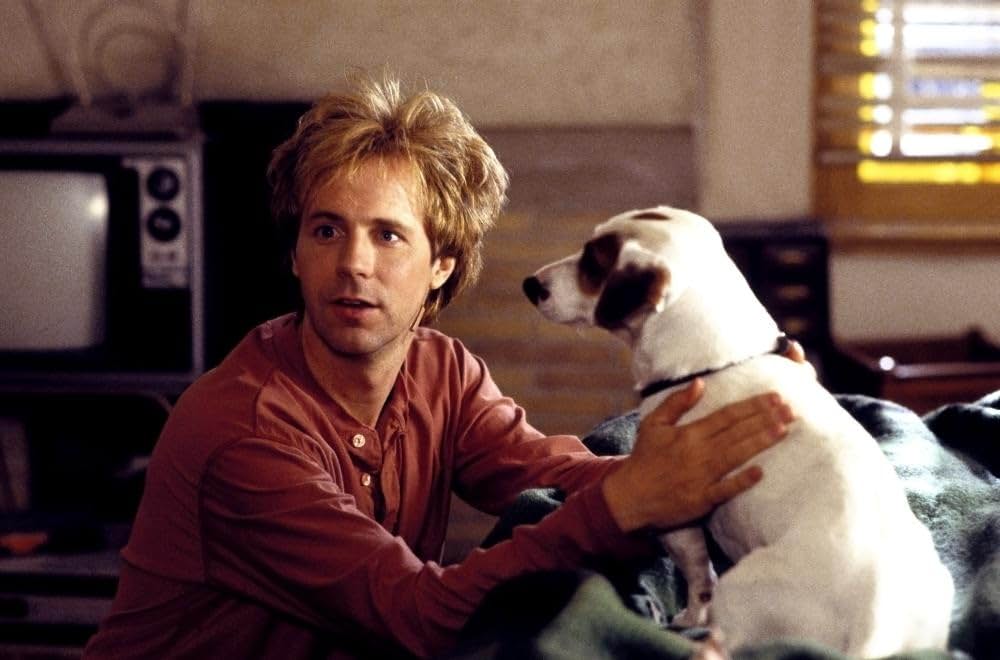 探偵ボーグ わたし、忘れてます。の画像