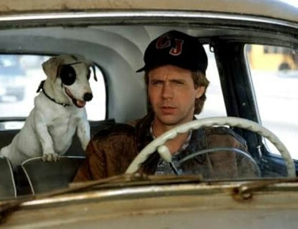 探偵ボーグ わたし、忘れてます。の画像