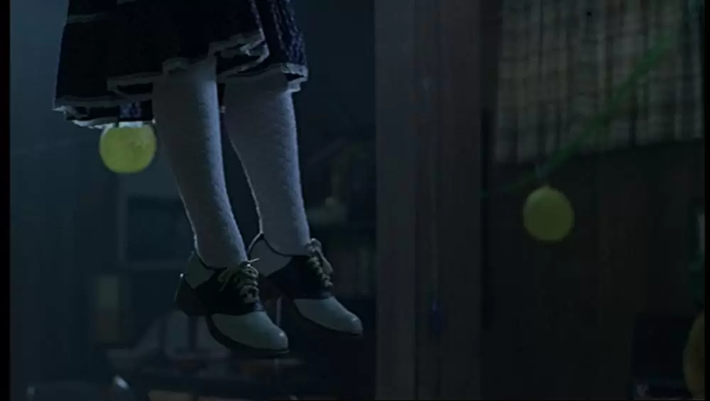 「ヴァージン・スーサイズ」の画像