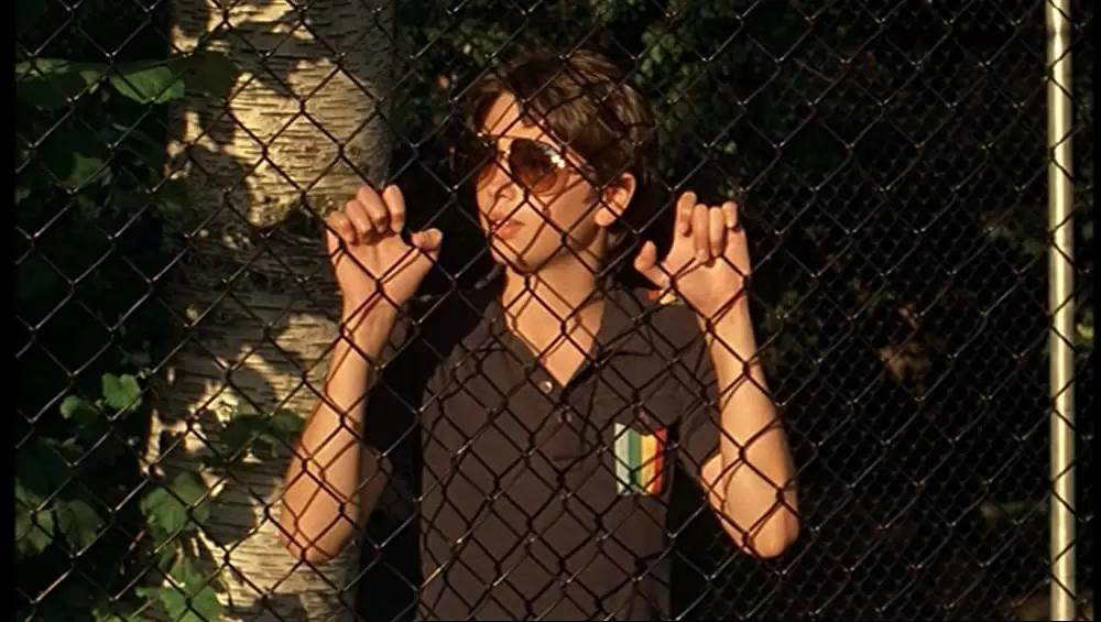 「ヴァージン・スーサイズ」の画像