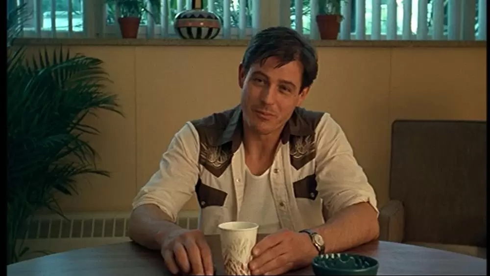 「ヴァージン・スーサイズ」マイケル・パレの画像