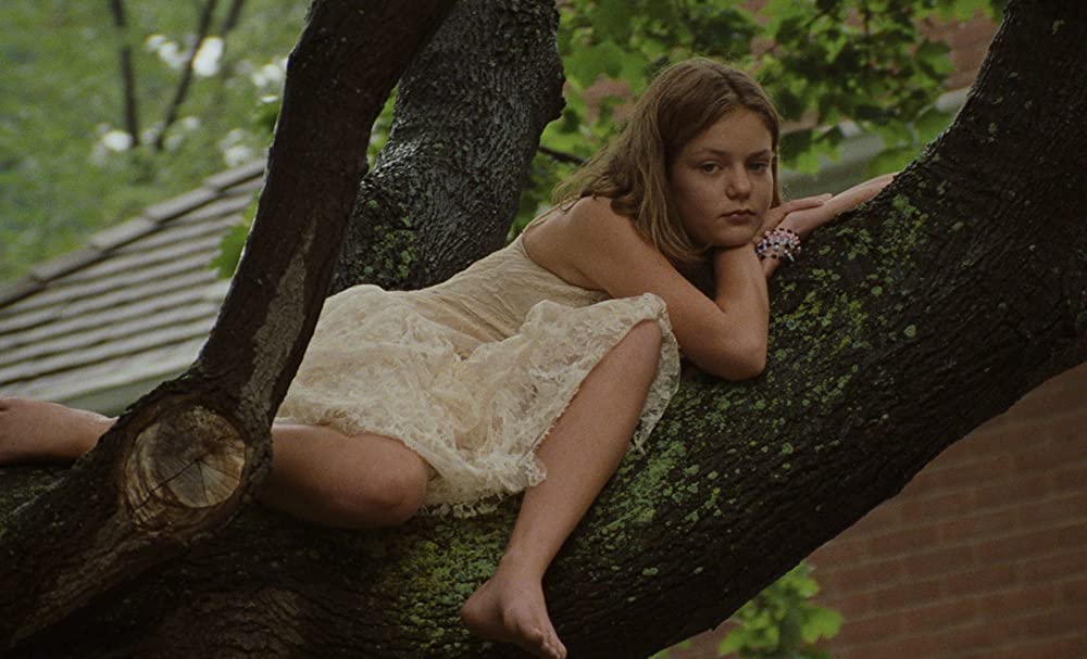 ヴァージン・スーサイズの画像