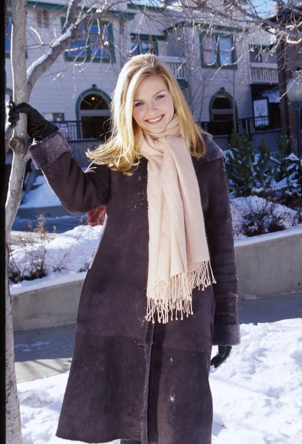 「ヴァージン・スーサイズ」の画像