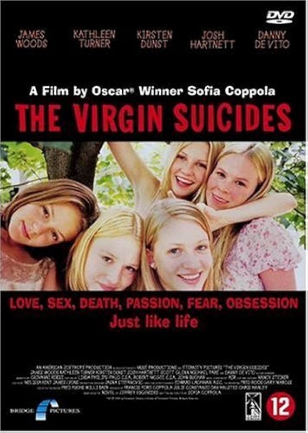 「ヴァージン・スーサイズ」の画像