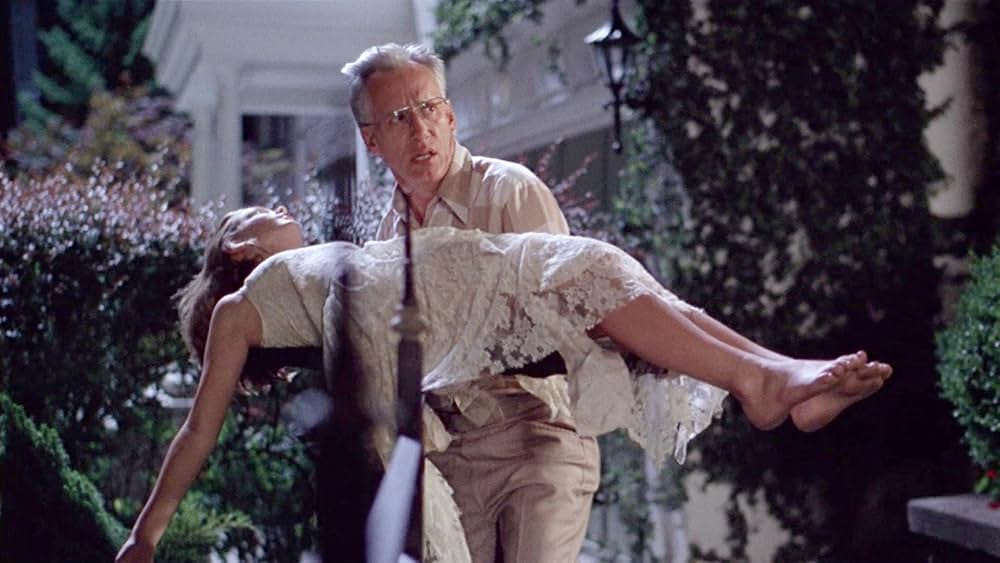 「ヴァージン・スーサイズ」の画像