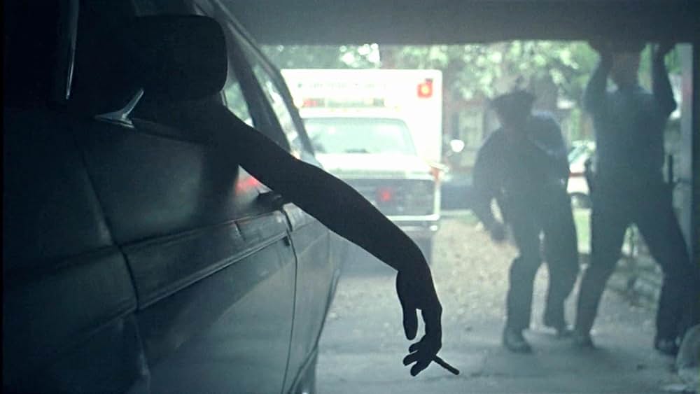 「ヴァージン・スーサイズ」の画像