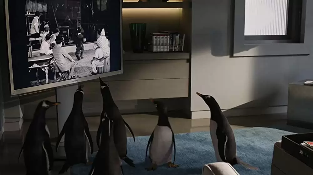 空飛ぶペンギンの画像