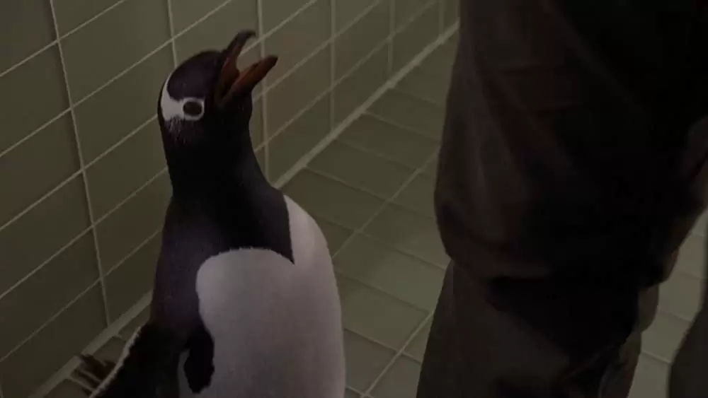 空飛ぶペンギンの画像