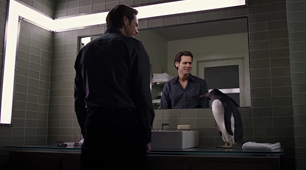 空飛ぶペンギンの画像