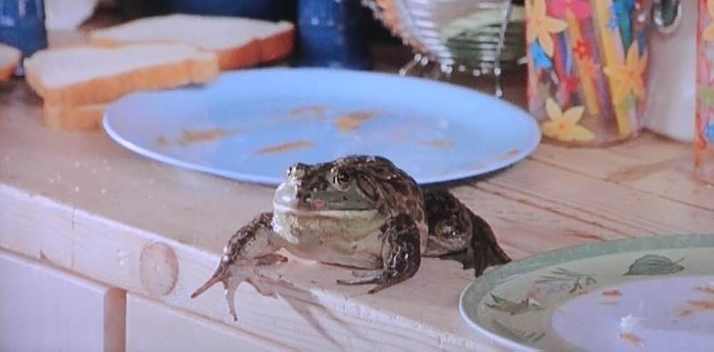 12人のパパの画像