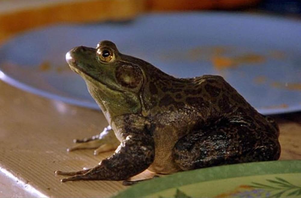 12人のパパの画像