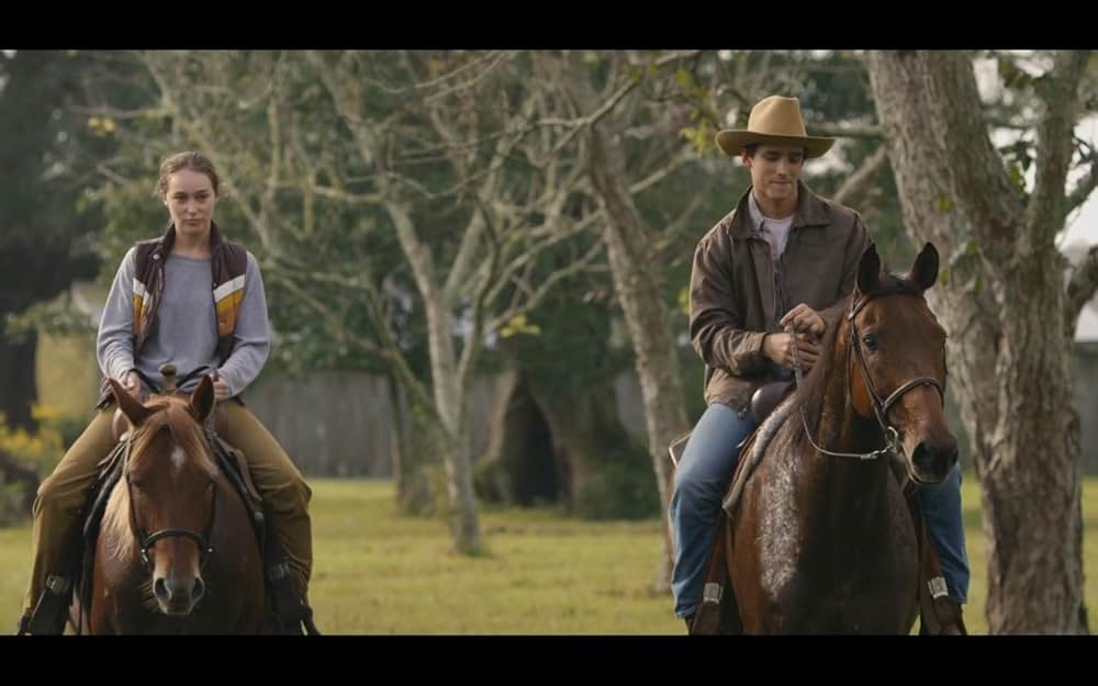 A Violent Separation（原題）の画像