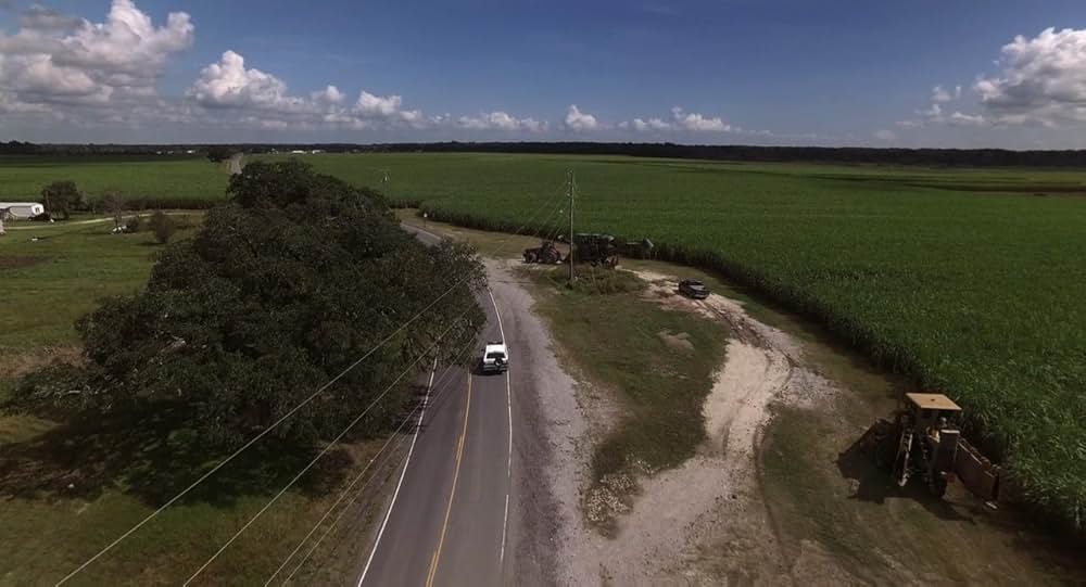 A Violent Separation（原題）の画像