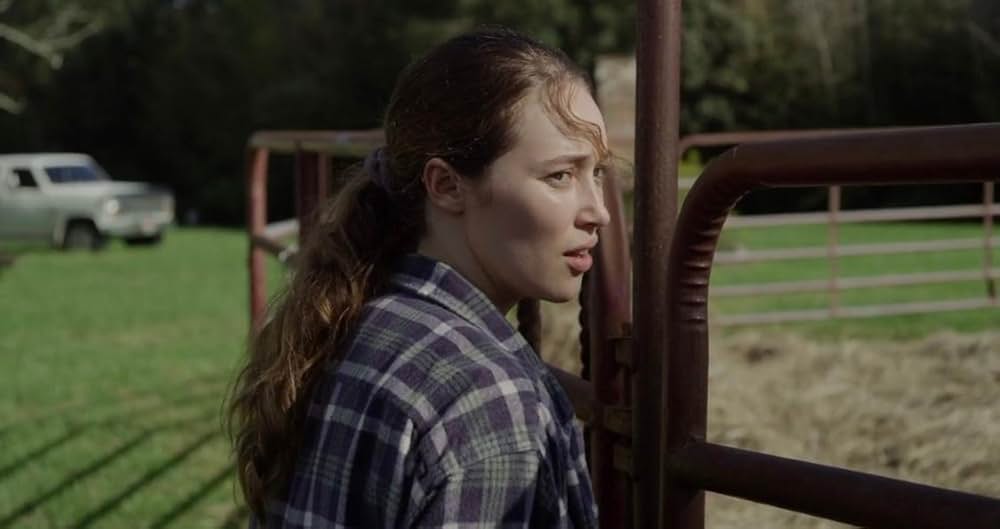 A Violent Separation（原題）の画像