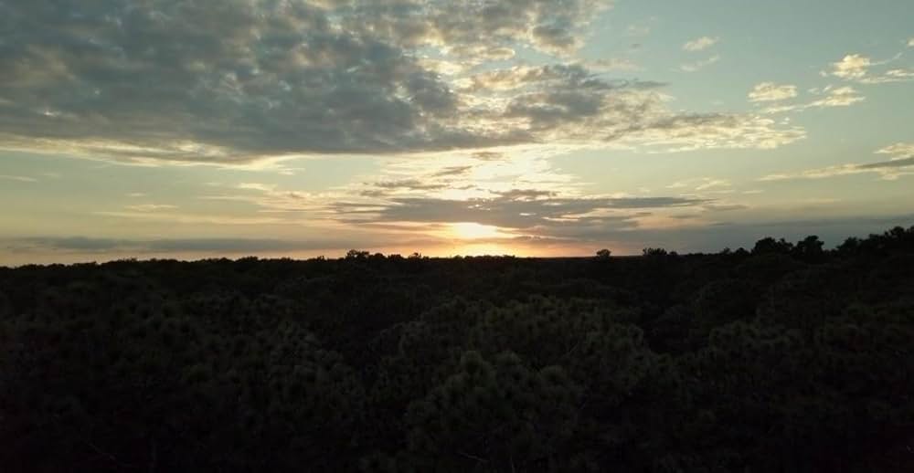 A Violent Separation（原題）の画像