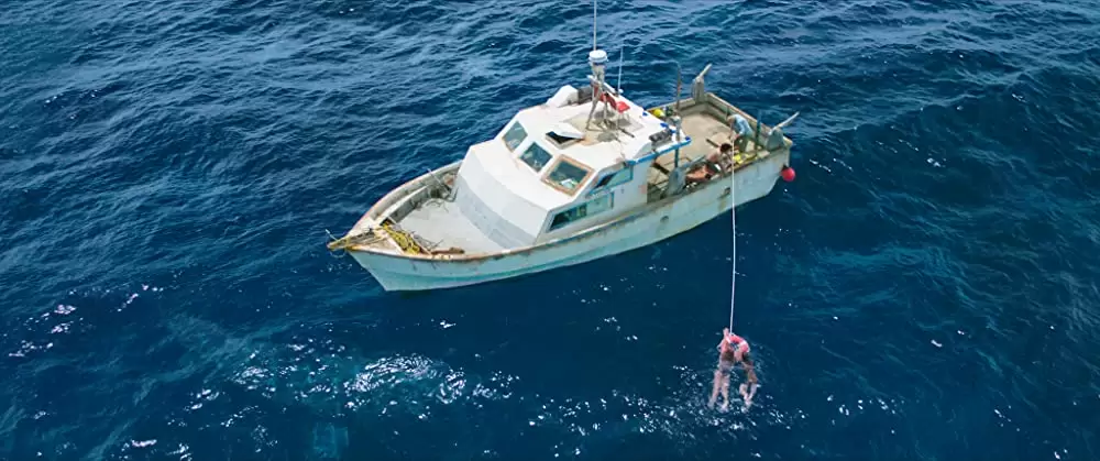 「海底47m」マシュー・モディーン & ヤニ・ゲルマン & マンディ・ムーア & クレア・ホルト & Santiago Seguraの画像