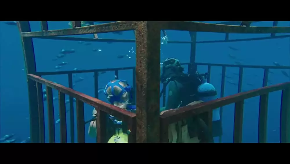 「海底47m」マンディ・ムーア & クレア・ホルトの画像