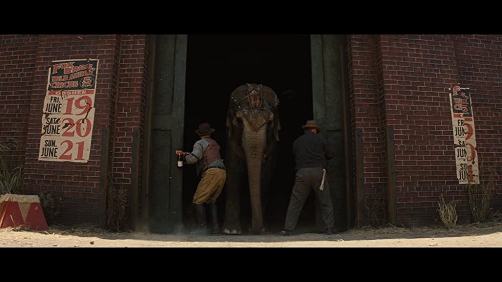 恋人たちのパレードの画像