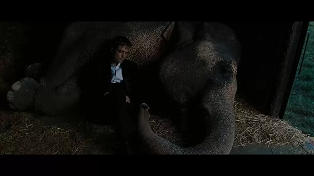 恋人たちのパレードの画像