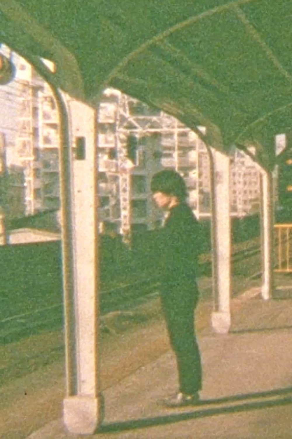 「愛讃讃」の画像
