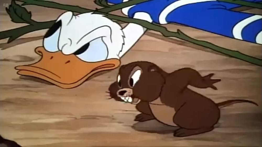 ドナルドの野菜畑の画像