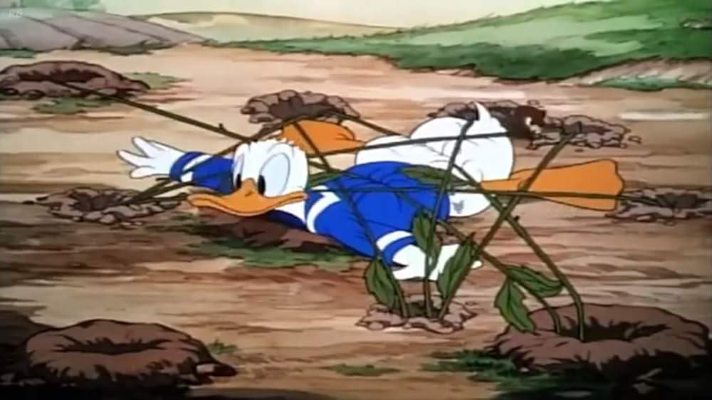 ドナルドの野菜畑の画像