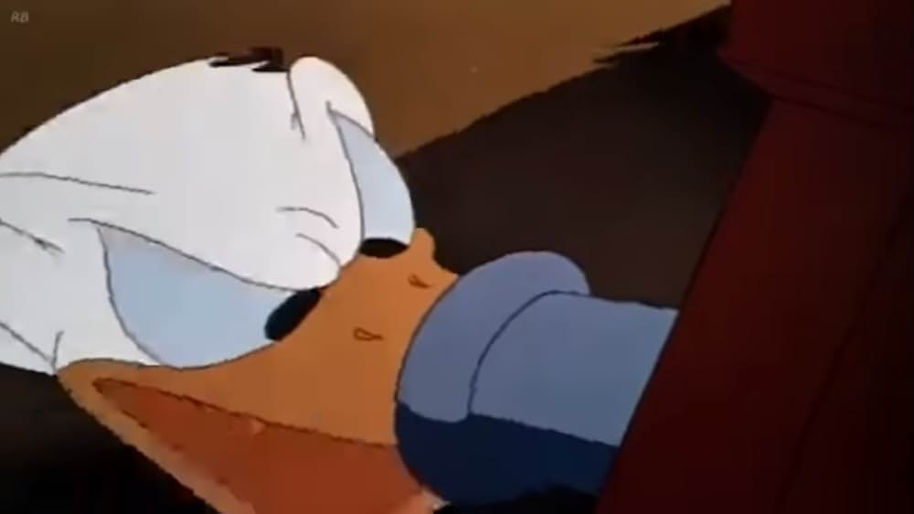 ドナルドの野菜畑の画像