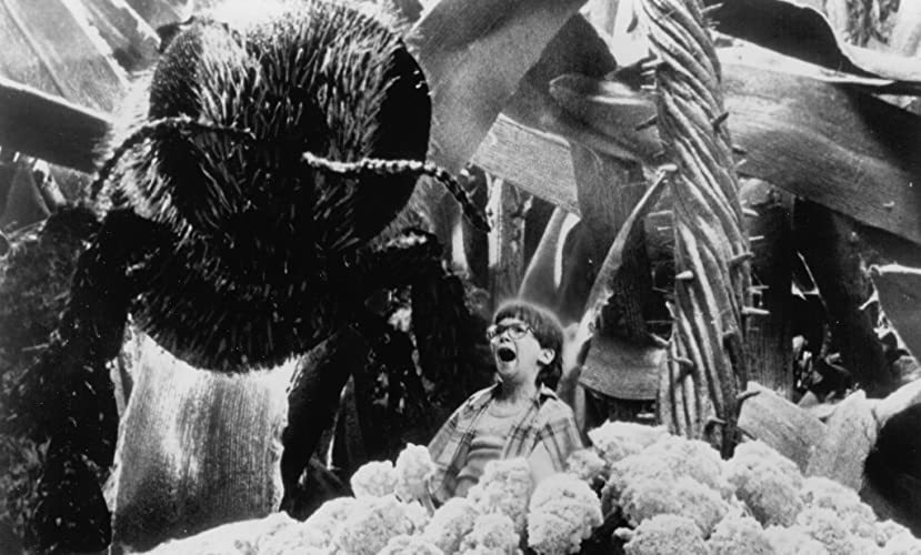 ミクロキッズの画像