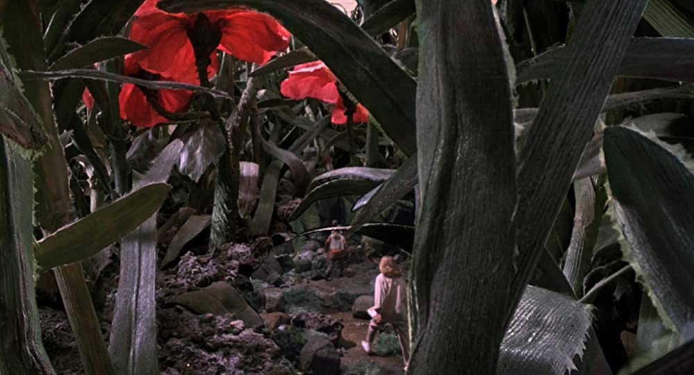 ミクロキッズの画像