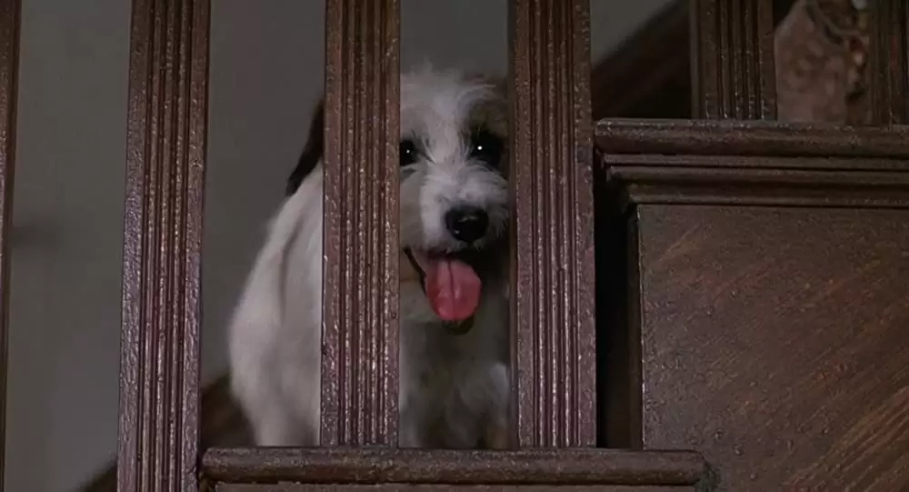 ミクロキッズの画像