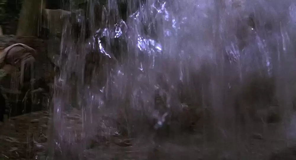 ミクロキッズの画像