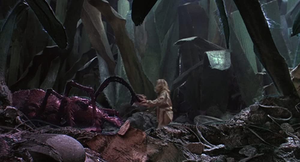 ミクロキッズの画像