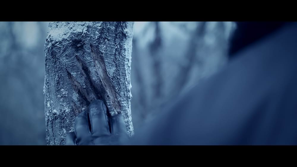 オブジェクトの画像